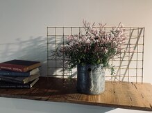 ウエカ(ueka)/ベンジャミン