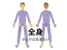 メンズ エステティック ヒーロー(men's esthetic HERO)/全身脱毛の範囲