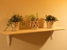 コラーゲンマシン スイソニア よもぎ蒸し ツリー(Tree)/《雰囲気.2》