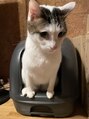 レシェリマ(Lesherima)&nbsp;大切な家族の息子です。※トイレの癖（笑）