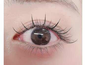 ルチア 高田馬場/ワンホンフラット120本