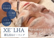 エーパール 竜美ヶ丘(A pearl)