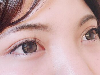 バモス(Vamos)/最高級セーブル☆