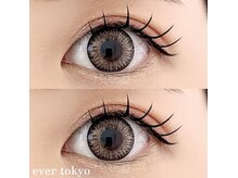 エバートーキョー(ever tokyo)/ダブルフラット80束 D10.11.Ｃ11