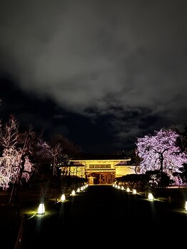 ルポ(Repos)/感覚を知る