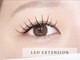 リリー(LILY)の写真