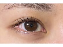 ラミア(LaMia)/らっしゅりふと