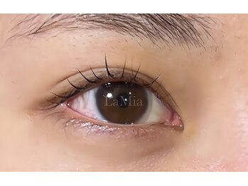 ラミア(LaMia)/らっしゅりふと