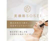 ダリア(Dahlia)の雰囲気（【美顔筋テラボーラー】お肌の根本的なお悩みから改善♪）