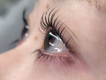 バタフライ 武蔵小杉店(Butterfly)/オーダーメイドラッシュリフト