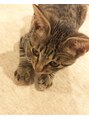 ポポのエステ(popoのエステ) 愛猫のミントちゃんです♪