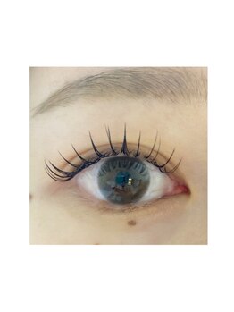 プリュムアイラッシュ(plume eyelash)/フラットセーブルラッシュ120本