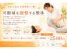 【可動域の調整】股関節、膝、肩などの関節　45分4000円 → 2500円