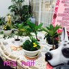 エムズネイル 東松山店(M's Nail)のお店ロゴ