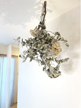 リアン ラッシュリフト(Lien LASHLIFT)/揺れるユーカリに癒されて♪