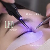 ララディーテ 昭和店(LARAdite)