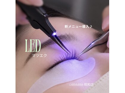 ララディーテ 昭和店(LARAdite)の写真