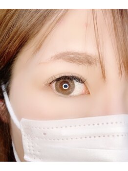 ルピナス(Lupinus)/LEDフラットラッシュ160本