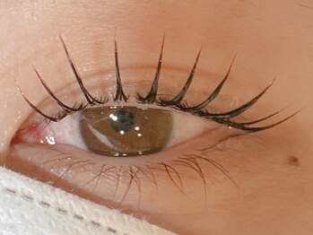 アヤトリ(ayatori)/立ち上げデザインまつげパーマ