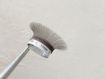 アイラッシュ サロン ウォーカーズ(Walkers)/【ロイヤルグレー】