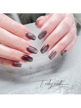 ティディーネスト(Tidynest)/マグネットネイル