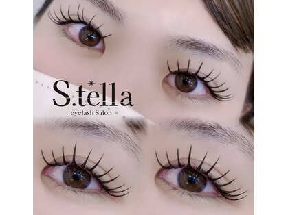 ステラ(S.tella)の写真