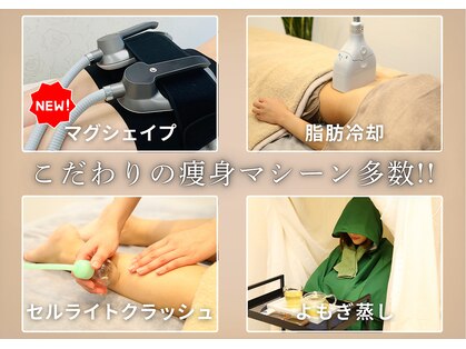 マヤ(Maya)の写真