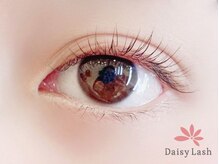 デイジーラッシュ 神戸三宮店(Daisy Lash)/まつげパーマ/パリジェンヌ/神戸
