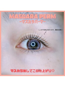 エルエイトシュプリーム(L∞supreme)/【人気急増】マスカラパーマ