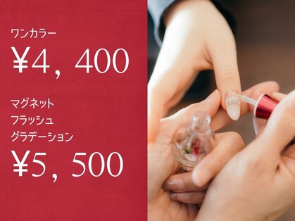 トリンプ(Torinp)の写真