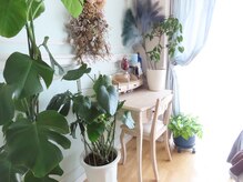 リラブルー(Lilas Bleu)/サロン内観