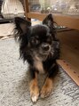 リラパドマ 千葉店(Rela Padma)&nbsp;お散歩が大好きな愛犬の琥珀まるくんです♪