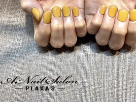 21/4/3　ワンカラー