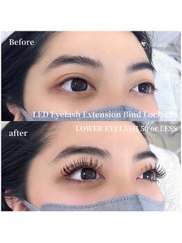 スウィートアイズ(Sweet eyes)/LEDバインド120束・下マツエク