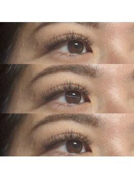 アイラッシュブルー(Eyelash BLUE)/ボリュームラッシュ100束