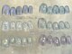シェル トウキョウ(SHELL TOKYO)の写真