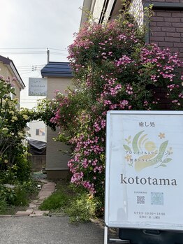 コトタマ(kototama)/サロン入り口