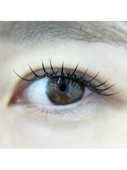 ヌンバイブリック(nun by Blic)/フラットラッシュ120本