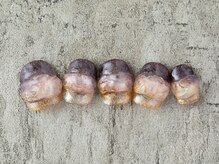 レアネイル(le'a nail)/定額9500