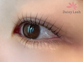 デイジーラッシュ 神戸三宮店(Daisy Lash)/まつげパーマ/パリジェンヌ/神戸