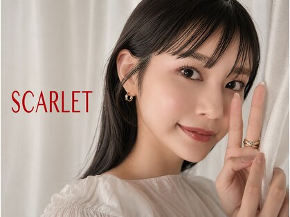 スカーレット(scarlet)の写真
