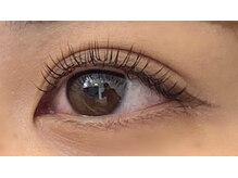 ペルシャ(Persian)/お客様デザイン【若葉/鶴ヶ島】