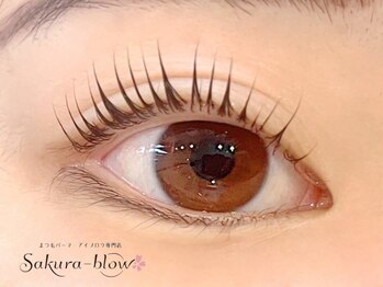 サクラブロウ 天王寺店(Sakura-blow)の写真/《お客様のお悩みに合わせた施術&ケアのご提案が出来る》口コミ人気のまつげパーマ・アイブロウ専門店★