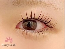 デイジーラッシュ 神戸三宮店(Daisy Lash)/まつげパーマ/パリジェンヌ/神戸