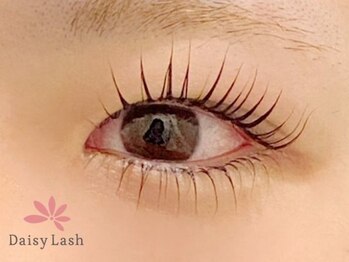 デイジーラッシュ 神戸三宮店(Daisy Lash)/まつげパーマ/パリジェンヌ/神戸