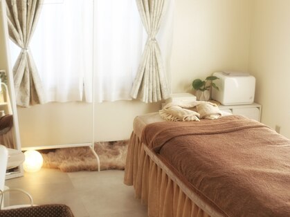 キララ(kirara)の写真