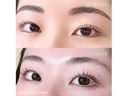 シェリー(Cherie)の写真