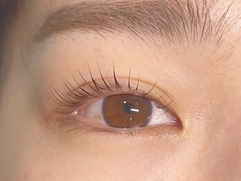 ローブセカンド(L'aube 2nd)/パリジェンヌラッシュリフト