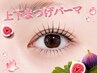 【上下に真っ直ぐパーマで更にパッチリ】上下パリジェンヌ+アイシャンプー付