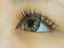 ウルカ アイラッシュ(uruka EYELASH)/フラットラッシュ 120本